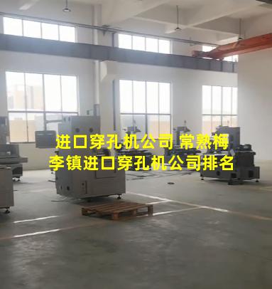 进口穿孔机公司 常熟梅李镇进口穿孔机公司排名